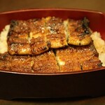 289697881 - 大未来鰻重