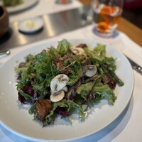 Benoit Alain Ducasse - 