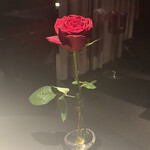 リストランテ･ヒロ  - 