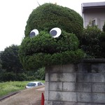 隠れ家 - 今日は、子供達にも紹介してやりました＾＾