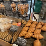 THE FULL FULL HAKATA - 