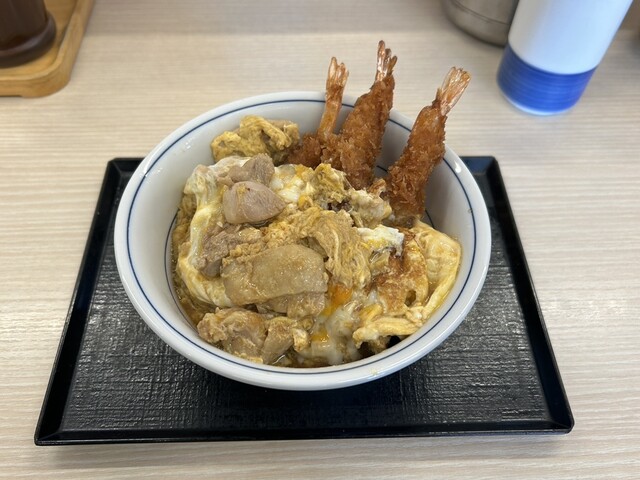 Katsuya Nagi Bypass Haruhi Ten