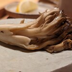 鳥匠いし井ひな - 