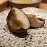 鳥匠いし井ひな - 