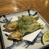 ひぐらし - 