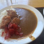 サン・ヤマキ - 唐揚げカレー