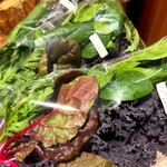 varm COFFEE & BAKERY - 川崎町｢ゆりこさんのお野菜｣のサラダセット。蔵王山麓の大自然の恵みを受けた、ケール、赤水菜、サラダほうれん草、春菊、スイスチャードなど、ビタミン豊富で希少な野菜達。