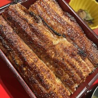 炭焼 うな富士 有楽町店 - 