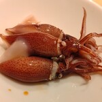 すしやのたい悟 - 蒸し蛍烏賊（富山）