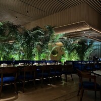 The Blue Room - 