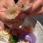 丸長寿司 - ボタン海老味噌食べ方レクチャー