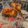 炭火焼ホルモンたつや