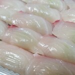 出羽鮨 - シマアジ。