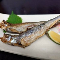 北海道直送 新物 柳葉魚（ししゃも）