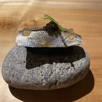 KAKAN - 