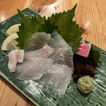 ひょうご五国ワールド 神戸三宮横丁 - 天然ひらめのお造り