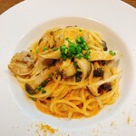 pecora - 