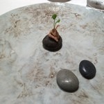 ルカンケ - 竹炭を練り込んだ全粒粉のパンにリエット