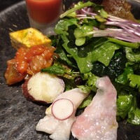 トレヴィーテ - 