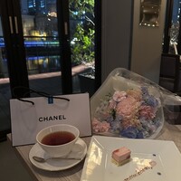 スミレオオサカ - 