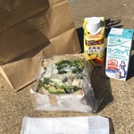 アースカラー - 