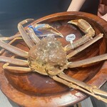 香住 北よし お初天神店 - 