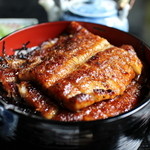 一匹半以上は伊達じゃない☆