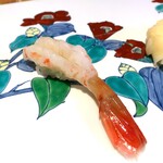 寿司栄 華やぎ - トヤマエビ。