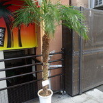 CHAMIROCK CHICKEN SHOP - お祝いも南国風です