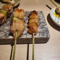 始祖鳥 - 