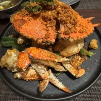 家寶 跳龍門 - 