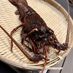 鍋・海鮮居酒屋 伊勢海老 たくと - 