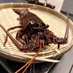 鍋・海鮮居酒屋 伊勢海老 たくと 大阪本町店 - 