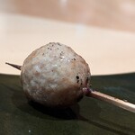 鳥匠いし井ひな - 