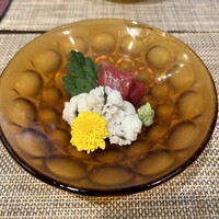 東山望 TAMANOHIKARI - 