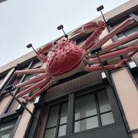 かに道楽 横浜店 -  かに道楽 横浜店 -