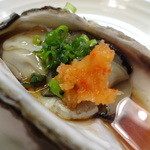 いわや - 岩牡蠣（男鹿産）（アップ）（2014/07）