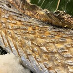 江戸富士 - タチウオ(塩焼き)