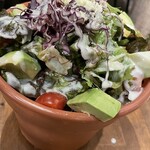 夜景×チーズ肉バル GARDEN 三宮 - アボカドサラダ。