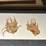 289905740 - 