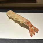 289905745 - 