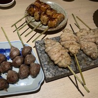 始祖鳥 - 
