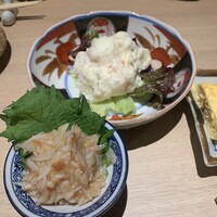 始祖鳥 - 