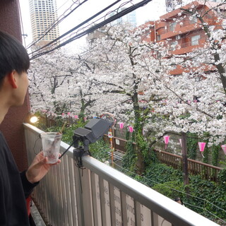 目黒川沿い絶好ロケーション◎【お花見シーズン】