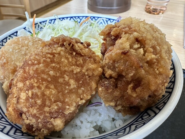 Yoshinoya Nabari Nagisa Uchino Ten photo 2