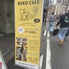 ネコカフェ キャットテイル - 
