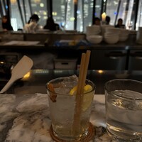 THE APOLLO - 