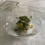 マダム・トキ - 