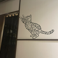 恵比寿ビストロ 猫も杓子も - 