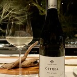 アルカナイズ - 